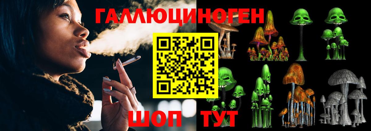 Псилоцибиновые грибы ЛСД  Алексеевка 